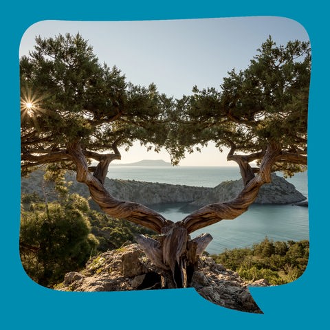 Philemon und Baucis | aus der griechischen Mythologie