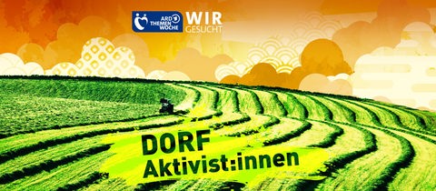 grüne Ackerlandschaft und orangener popart-Himmel