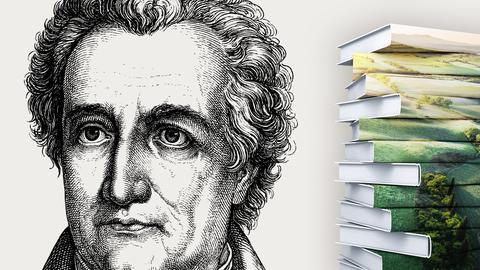 Portrait Goethe  mit Buchstapel