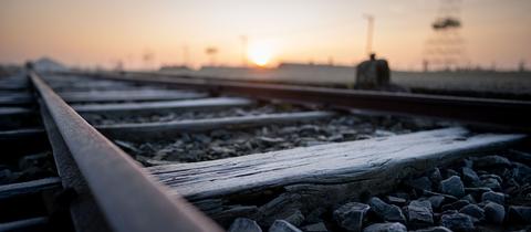 Auschwitz-Birkenau vor dem 75. Jahrestag der Befreiung