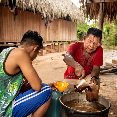 Ein Schamane gießt einen Sud aus Ayahuasca in einen Becher. 