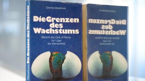 Buch Grenzen des Wachstums
