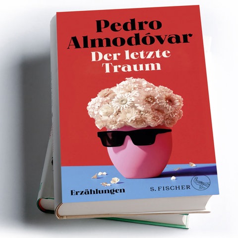 Pedro Almodóvar: Der letzte Traum