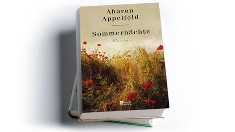 Aharon Appelfeld: Sommernächte