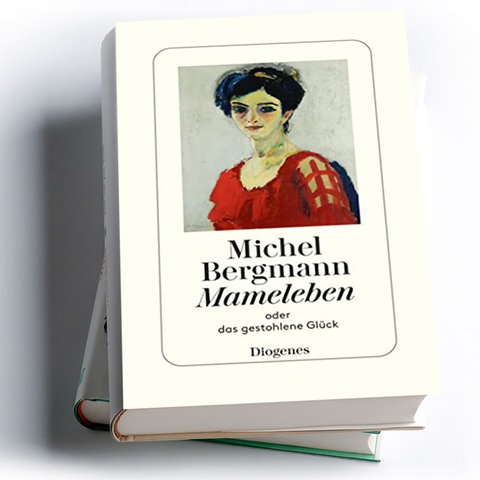 Michel Bergmann: Mameleben oder das gestohlene Glück