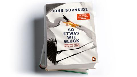 John Burnside: So etwas wie Glück. Geschichten über die Liebe