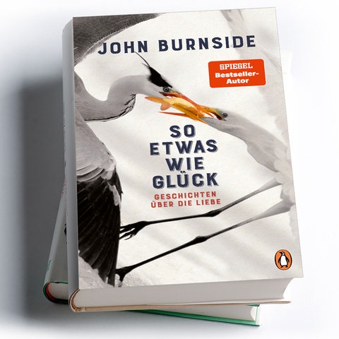 John Burnside: So etwas wie Glück. Geschichten über die Liebe