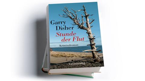 Garry Disher: Stunde der Flut