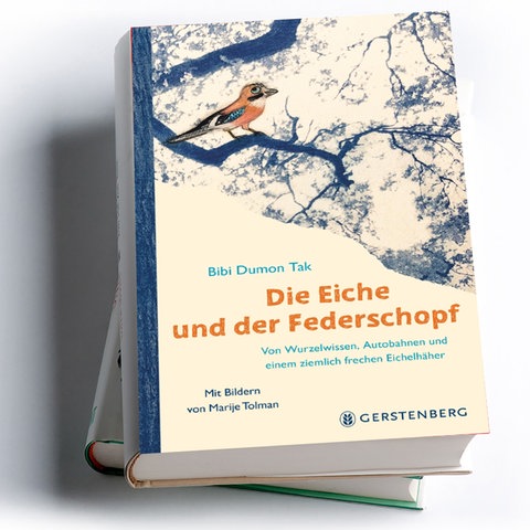 Bibi Dumon Tak: Die Eiche und der Federschopf