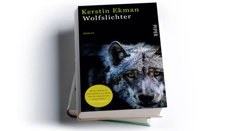 Kerstin Ekman: Wolfslichter