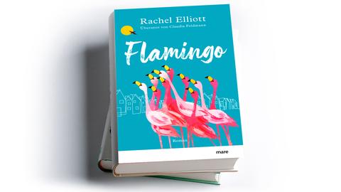 Rachel Elliott: Flamingo
