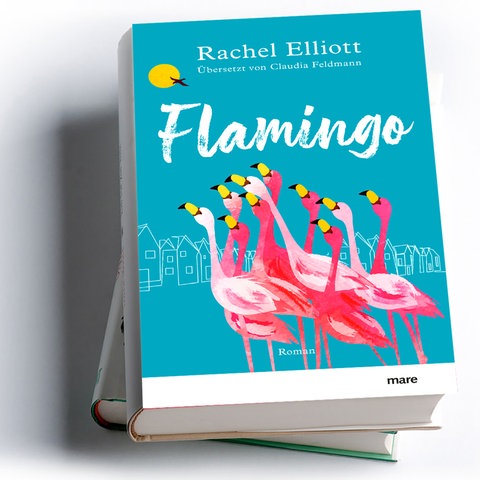 Rachel Elliott: Flamingo