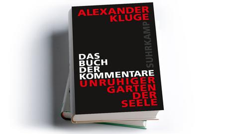 Alexander Kluge: Das Buch der Kommentare. Unruhiger Garten der Seele