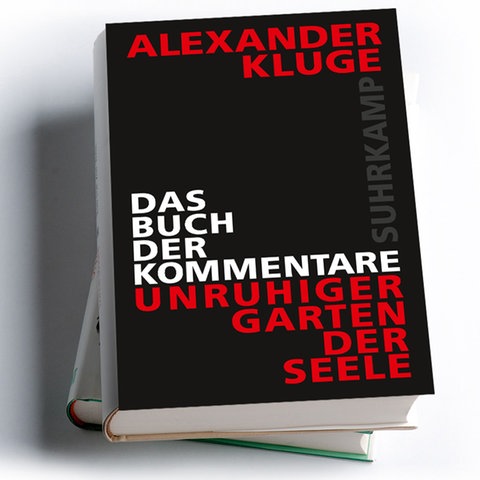 Alexander Kluge: Das Buch der Kommentare. Unruhiger Garten der Seele