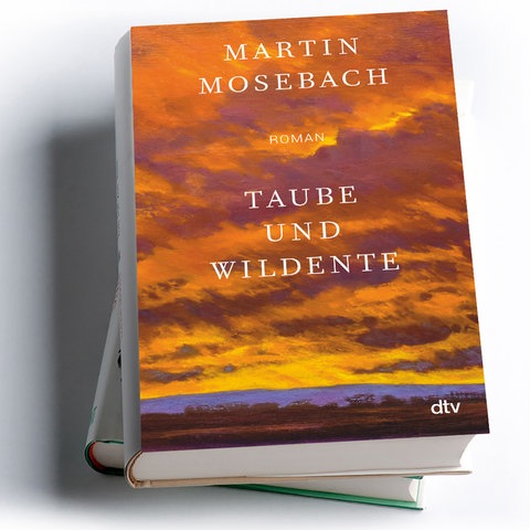 Martin Mosebach: Taube und Wildente