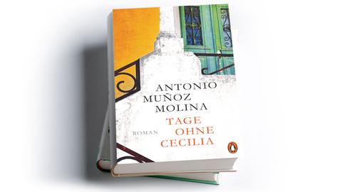 Antonio Muñoz Molina: Tage ohne Cecilia