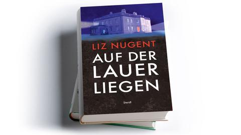 Liz Nugent: Auf der Lauer liegen