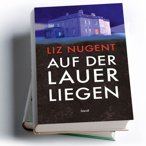 Liz Nugent: Auf der Lauer liegen