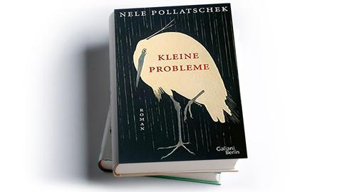 Nele Pollatschek: Kleine Probleme