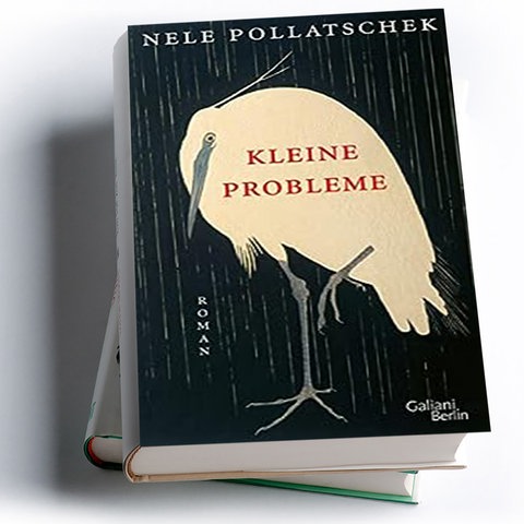 Nele Pollatschek, Kleine Probleme