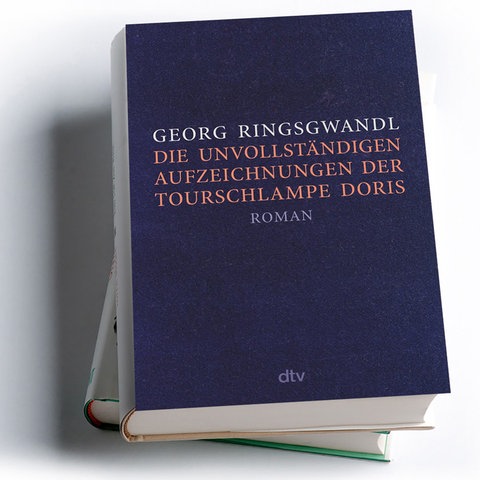 Georg Ringsgwandl: Die unvollständigen Aufzeichnungen der Tourschlampe Doris