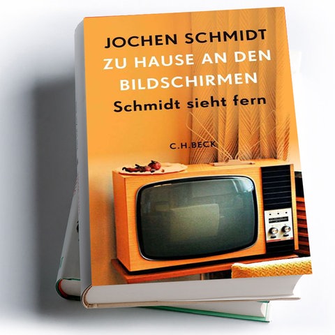 Jochen Schmidt: Zu Hause an den Bildschirmen. Schmidt sieht fern