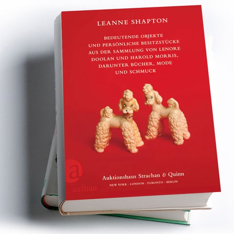 Leanne Shapton: Bedeutende Objekte ...