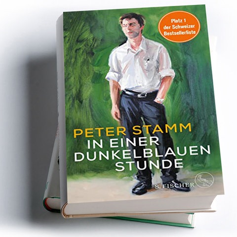 Peter Stamm: In einer dunkelblauen Stunde