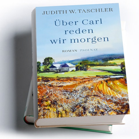 Judith W. Taschler: Über Carl reden wir morgen