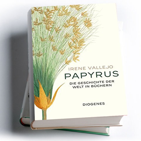 Irene Vallejo: Papyrus. Die Geschichte der Welt in Büchern