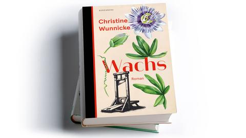 Christine Wunnicke: Wachs
