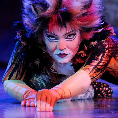 Musical Cats