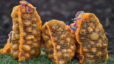 Kartoffelernte im Herbst