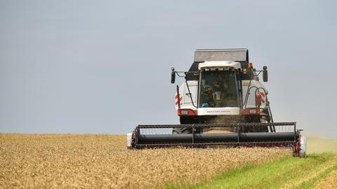 Ein Mähdrescher erntet in einem Wiezenfeld