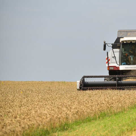 Ein Mähdrescher erntet in einem Wiezenfeld