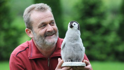 Klemens Pütz blickt auf ein ausgestopftes Küken eines Kaiserpinguins, das er tot gefunden hatte.