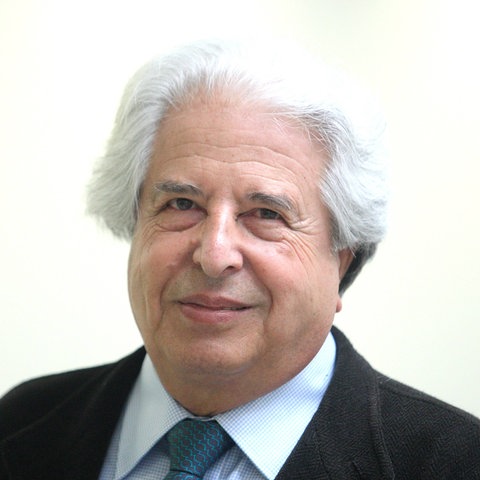 Saul Friedländer