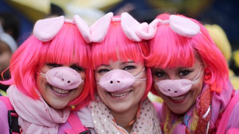 Fasching Verkleidung Schweinchen