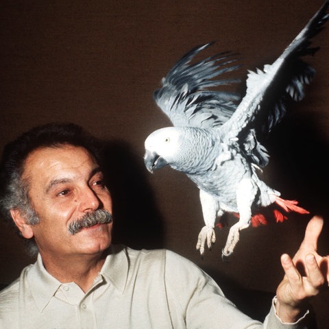 Georges Brassens