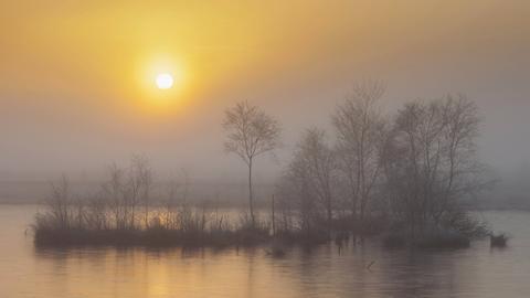 Sonnenaufgang im Goldenstedter Moor in Niedersachsen