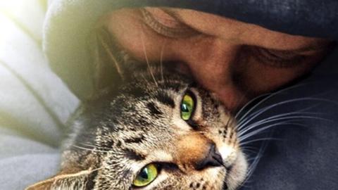 Filmplakat "Cat Daddies"
