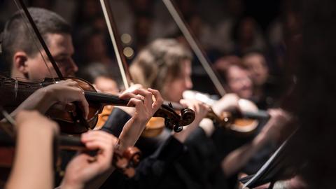 Geigen Geige Violine Finger