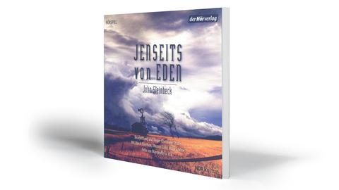 CD-Cover mit Foto einer sturmdurchwehten amerikanischen Landschaft