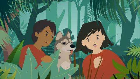 Amazonas Detektive