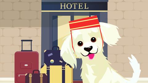 Grand Hotel Bellvue