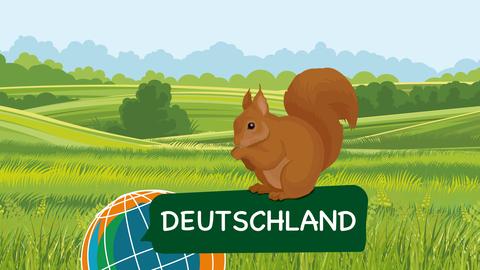 Hör in meine Welt