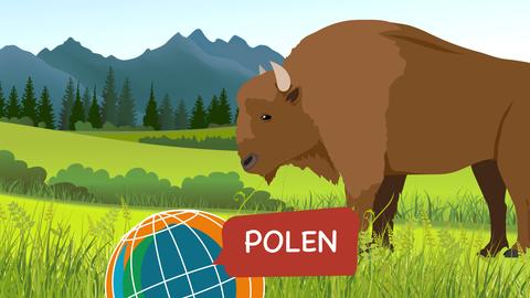 Hör in meine Welt 