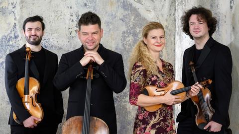Das Pavel-Haas-Quartett