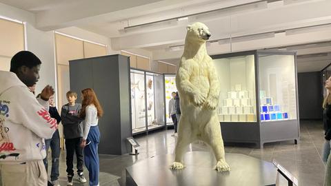 Junges Literaturland: Helene-Lange-Schule