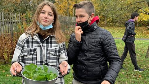 Schülerin und Schüler pflücken Pflanzen im Garten des  Hessenparks